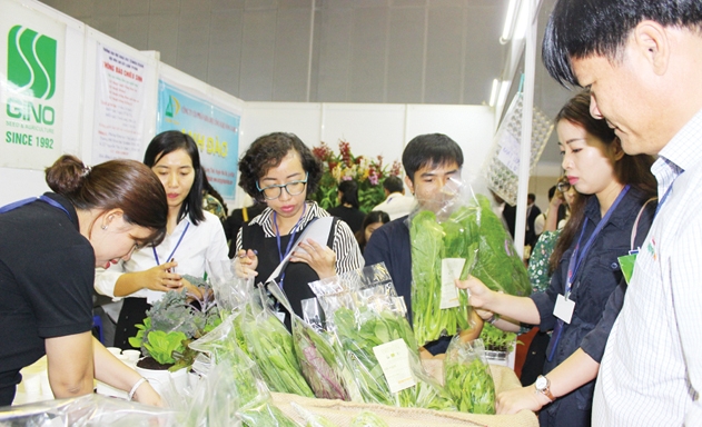 Bảo hộ nhãn hiệu sẽ giúp rau quả của HTX vươn ra xa thị trường nước ngoài