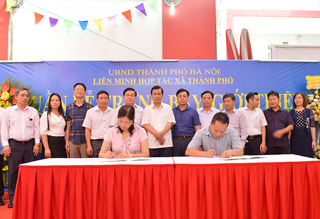 Ký kết liên kết sản xuất - tiêu thụ nông sản giữa Liên minh HTX Hà Nội với các đơn vị