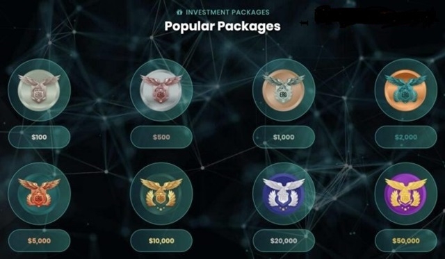 Bộ Công an khuyến cáo người dân khi đầu tư tiền vào Công ty Tài chính ERG (Ảnh Internet)