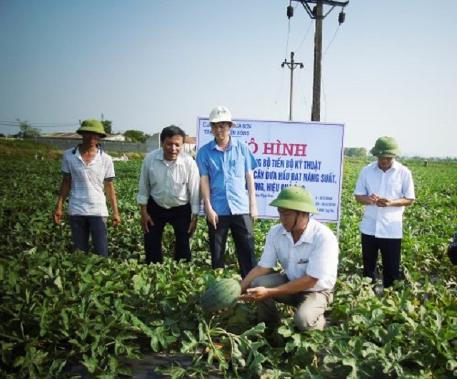 Năm 2019, HTX đã hỗ trợ các hộ dân 12 triệu đồng tiền giống dưa hấu