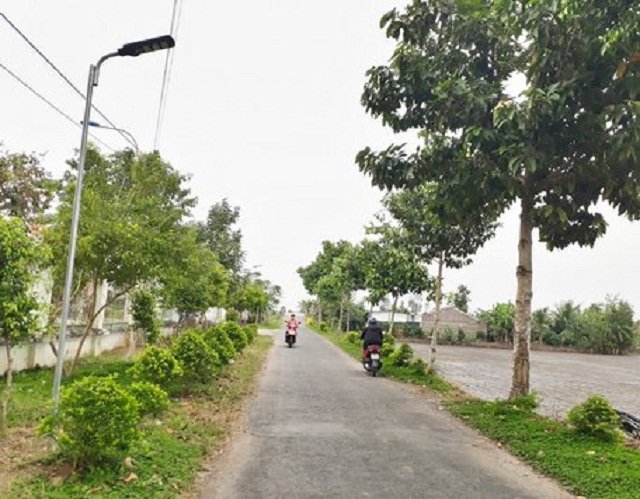 Đèn điện thắp sáng đường quê nông thôn mới