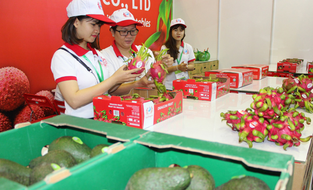 Xây dựng thương hiệu cho trái cây Việt là “câu chuyện dài hơi”