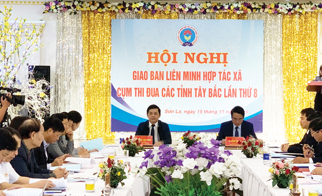 Phó Chủ tịch Nguyễn Văn Thịnh: Cần phát huy tối đa sức mạnh của HTX kiểu mới