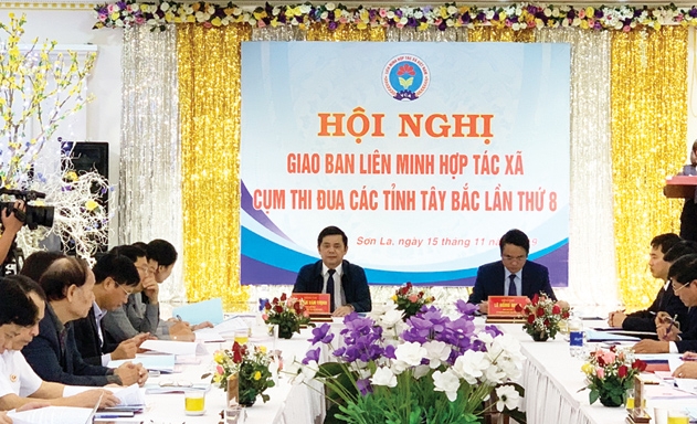Phó Chủ tịch Nguyễn Văn Thịnh: Cần phát huy tối đa sức mạnh của HTX kiểu mới