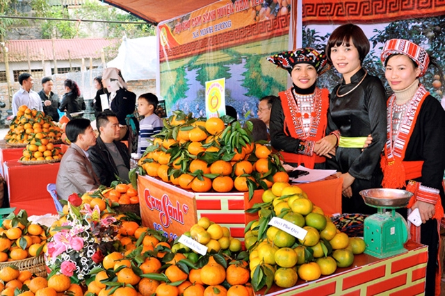 Nông sản được tiêu thụ sẽ giúp người dân Tuyên Quang nâng cao thu nhập ổn định cuộc sống