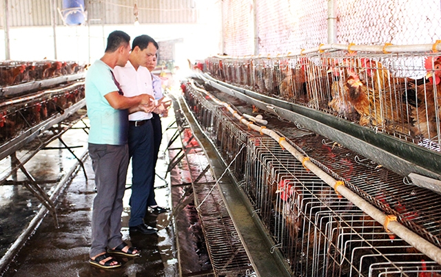 Hoạt động đào tạo nghề cho lao động nông thôn tại Quảng Ninh đang có sự liên kết chặt chẽ giữa địa phương, doanh nghiệp, HTX