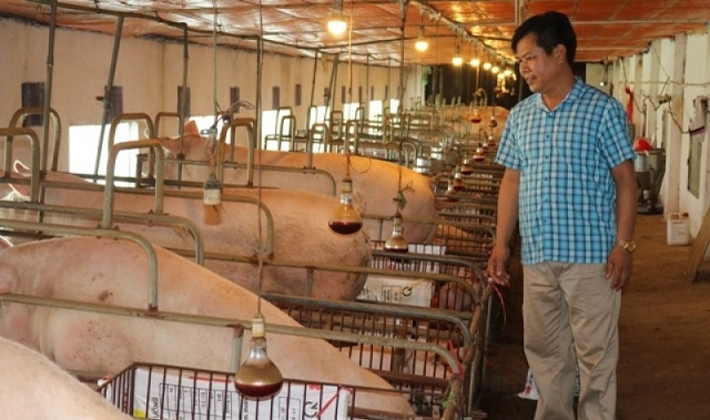 Chăn nuôi khép kín được chú trọng