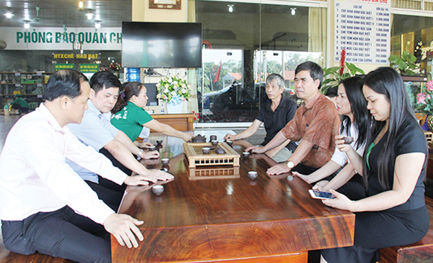 Phó Chủ tịch Nguyễn Văn Thịnh và đoàn công tác của Liên minh HTX Việt Nam làm việc với HTX chè Hảo Đạt về liên kết để nâng cao giá trị nông sản