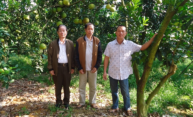 Các mô hình VAC đang đem lại lợi ích hàng trăm triệu đồng cho người dân