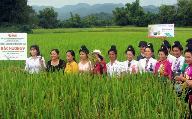 Các HTX đang góp phần không nhỏ thúc đẩy nông thôn mới ở Điện Biên