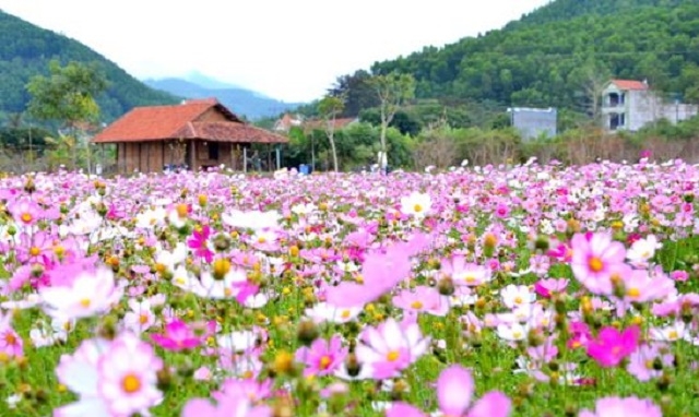 Du lịch sinh thái thu hút HTX tham gia