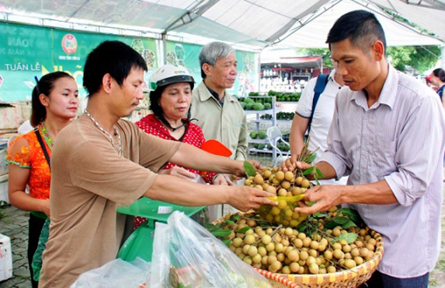 Liên kết chuỗi giúp nâng cao giá trị nông sản