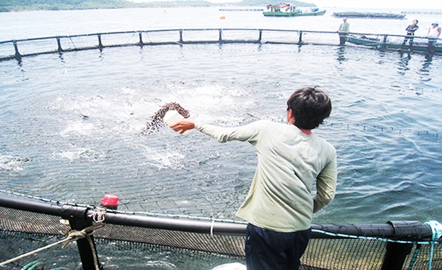 Các mô hình thủy sản sẽ tiếp tục dành được nhiều quan tâm trong thời gian tới