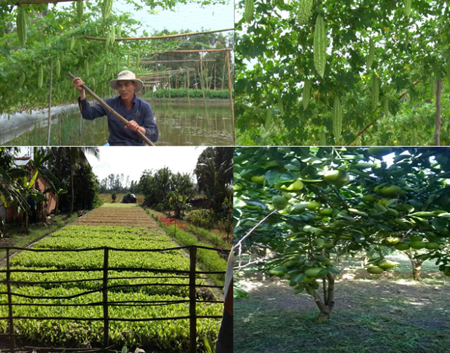 Các mô hình kinh tế hiệu quả của xã Long Trị A