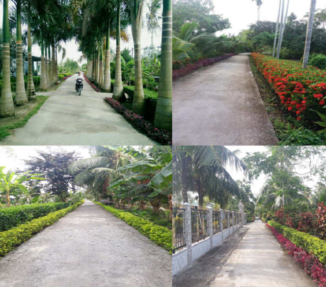 Những tuyến đường đẹp của xã Long Trị A
