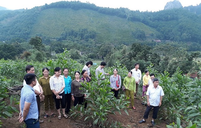 Trồng, bảo vệ rừng giúp gia tăng lợi ích đối với người dân Trường Sơn