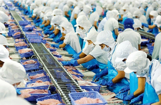 Cổ phiếu VHC của Vĩnh Hoàn “hồi sức”