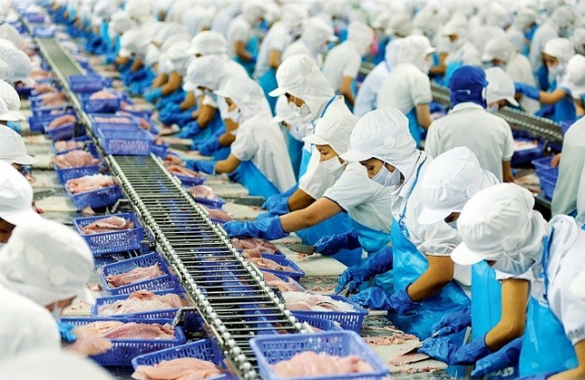 Cổ phiếu VHC của Vĩnh Hoàn “hồi sức”