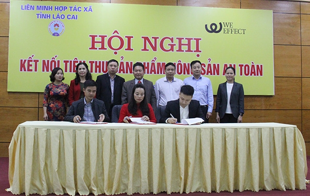 Các đại biểu chứng kiễn lễ ký kết hợp tác tiêu thụ sản phẩm của các HTX và doanh nghiệp