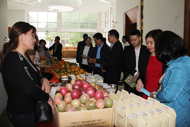 Gian hàng trưng bày nông sản của cácc HTX Sơn La