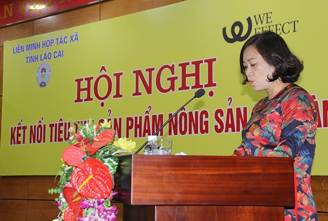 Phó chủ tịch Liên minh HTX Lào Cai Nguyễn Thị Lợi báo cáo tại hội nghị