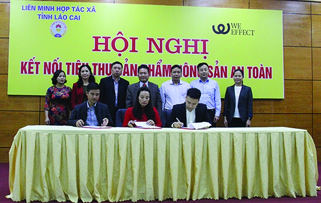 Ký kết hợp tác tiêu thụ nông sản giữa HTX và DN