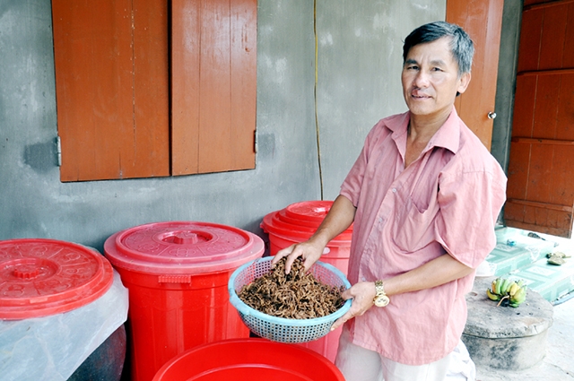 Củ cải đang là cây thế mạnh tại Đầm Hà