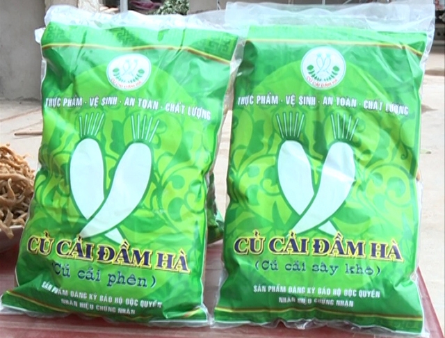 Củ cải Đầm Hà đang được thị trường ưa chuộng