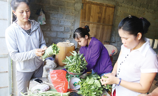 Phụ nữ giữ vai trò là lao động chính trong khu vực KTHT, HTX