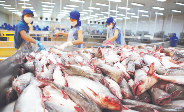XK cá tra có một năm không được như mong đợi