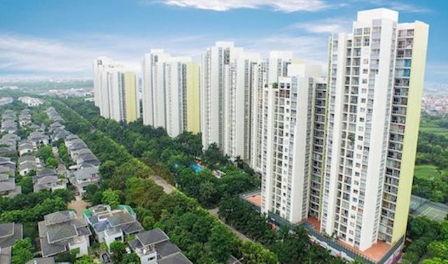 Cổ phiếu CSC của Cotana tiếp tục lập đỉnh bất chấp thông tin bị truy thu thuế