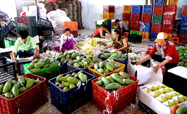 “Nút thắt” logistics khiến nông sản Việt hạn chế giá trị xuất khẩu