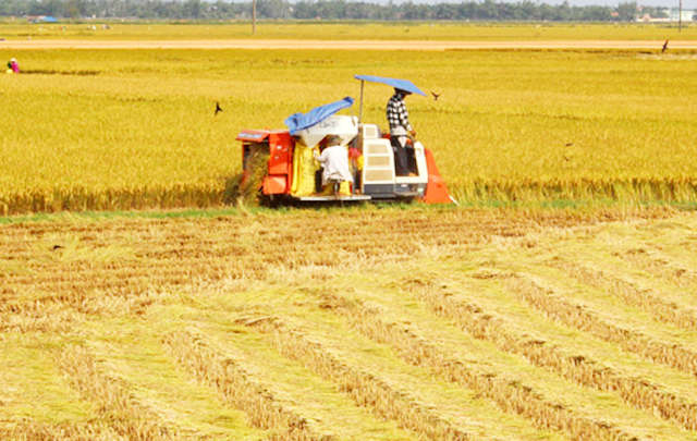 HTX đang chủ động phát triển theo hướng hiện đại gắn với sản xuất an toàn, ATLĐ