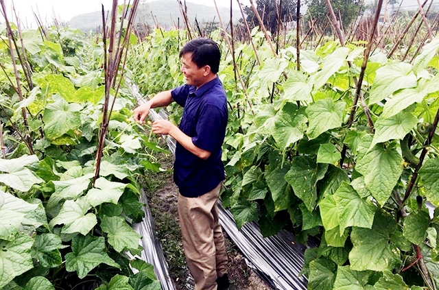 Uông Bí đang đẩy mạnh phát triển HTX nhằm thúc đẩy sản xuất an toàn