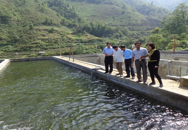 Khu nuôi cá tầm của HTX