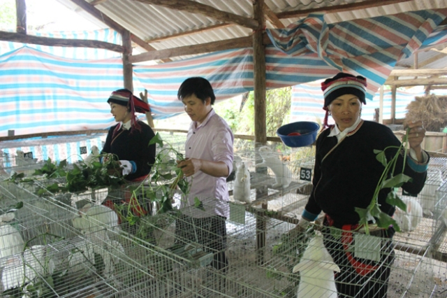 Huyện Bắc Mê chú trọng phát triển HTX trong công tác xoá đói giảm nghèo (Ảnh: Internet)