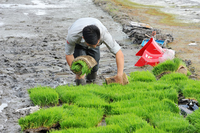 Cơ giới hóa sẽ được gắn với sản xuất an toàn, ATLĐ