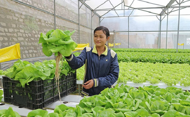 Sản xuất sạch góp phần bảo vệ môi trường