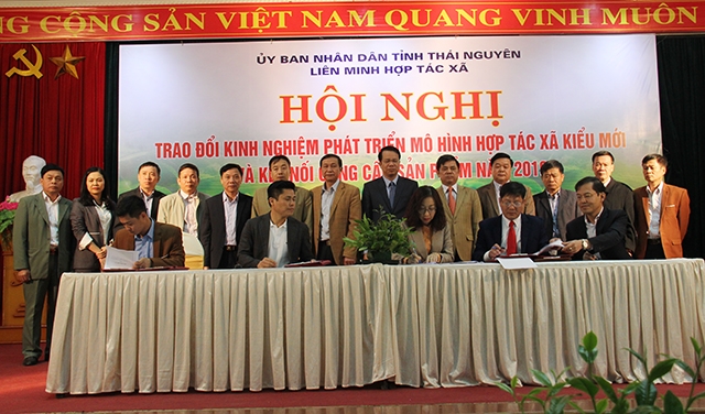 Các đại biểu chứng kiến lễ ký kết