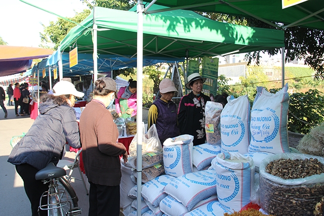 Gạo đặc sản Séng Cù Sơn La được trưng bày tại phố đi bộ Trịnh Công Sơn