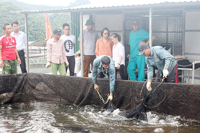 Thủy sản đang là lĩnh vực giàu tiềm năng được huyện Mường La chú trọng