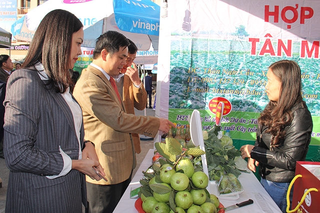 Phó chủ tịch Nguyễn Văn Thịnh tham quan các gian hàng nông sản