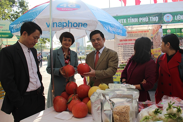 Phó Chủ tịch Nguyễn Văn Thịnh thăm quan gian hàng của HTX Phú Thọ