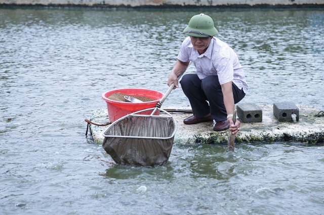 Ông Vũ Thành Quang xã Thụy Liêm, Thái Thụy - nhân tố điển hình trong công cuộc xây dựng nông thôn mới tại Thái Thụy - Thái Bình