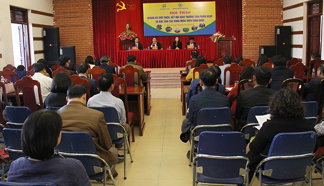 Toàn cảnh hội thảo