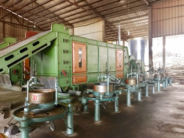 Một dây chuyền chế biến chè được đầu tư từ nguồn vốn vay của Qũy hỗ trợ phát triển HTX tỉnh Hà Giang