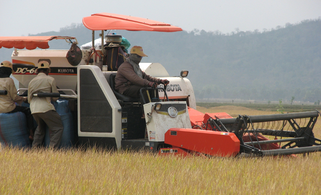 Thiếu vùng nguyên liệu lớn sẽ khó hút đầu tư chế biến nông sản