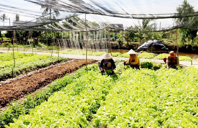 Nguyên Bình đang thúc đẩy sản xuất an toàn