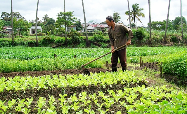 Nhờ sản xuất an toàn, Nguyên Bình đang phát triển thành công nhiều sản phẩm thế mạnh