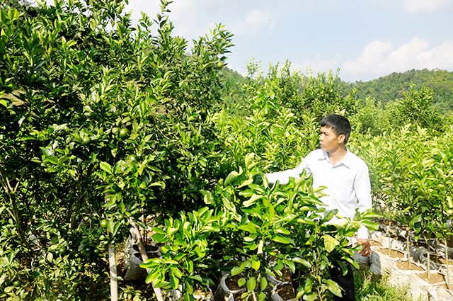 Kinh tế hộ trên địa bàn huyện Na Rì đang ngày càng khởi sắc